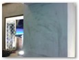 Foto-0006